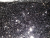 SWATCHES Embroidered Glitz Sequins
