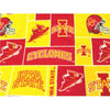 Premium Anti-Pill Iowa State Fleece B86 "LAST PIECE MEASURES 1 YARD 27 INCHES"