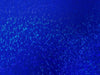Metallic Hologram Foil Spandex LIGHT ROYAL