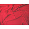 Sparkle Swimsuit Spandex RED