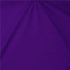 Sparkle Swimsuit Spandex PURPLE