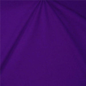 Sparkle Swimsuit Spandex PURPLE