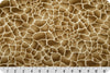 SWATCHES Giraffe Charmeuse Satin