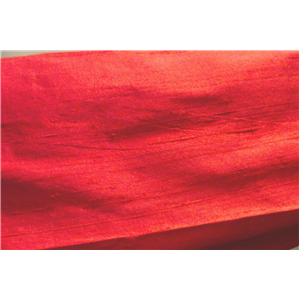Silk Dupioni 54