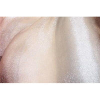 SWATCHES Crystal Organza