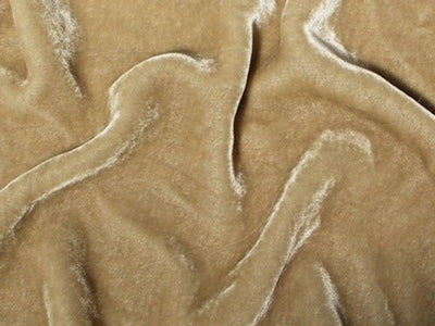 Plush Silk Velvet 54