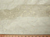 Embroidered Organza CHAMPAGNE