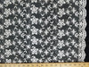White Fancy Embroidery Mesh Lace White FEM-12