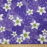 PURPLE MONSTERA HP-31