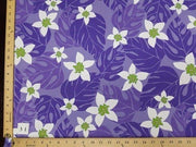 PURPLE MONSTERA HP-31
