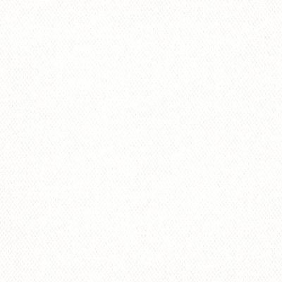 Outdoor Water-UV Resistant Canvas White