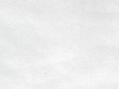 Upholstery Plush Velvet WHITE