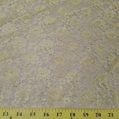 Rachel Lace CHAMPAGNE FL-27