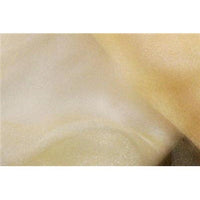 SWATCHES Crystal Organza
