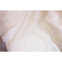 SWATCHES Crystal Organza