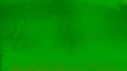 Shantung Satin DARK AVOCADO STS-13