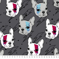 Premium Anti-Pill French Brit Pup Fleece 71