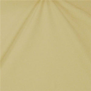 Sparkle Swimsuit Spandex IVORY