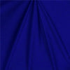 Sparkle Swimsuit Spandex ROYAL BLUE
