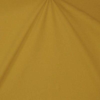 Sparkle Swimsuit Spandex GOLD