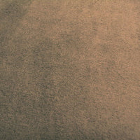 SWATCHES Minky Fleece Double Sided