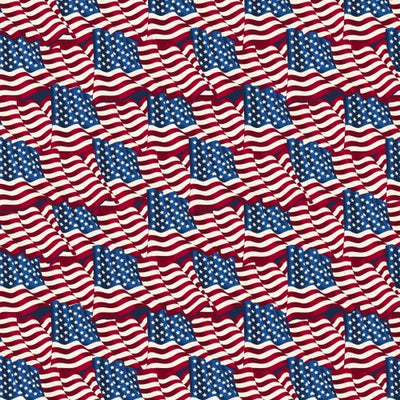 Premium Anti-Pill Old Glory USA Flag Fleece 9
