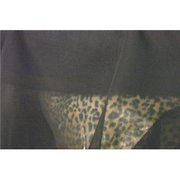 Chiffon 44 Inch Wide BLACK 50 YARD ROLL