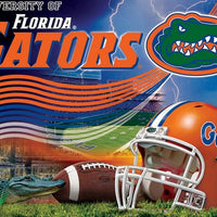 Premium Anti-Pill Florida Stadium Wave Football Fleece B385
