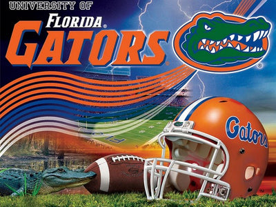 Premium Anti-Pill Florida Stadium Wave Football Fleece B385