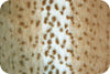 SWATCHES Soft Cuddle Fur