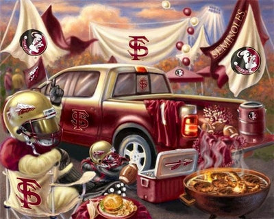 Premium Anti-Pill Florida State Tailgate Fleece Panel B689