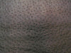 Upholstery PVC Champion Vinyl