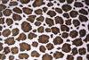 SWATCHES Jaguar Minky Cuddle Fur