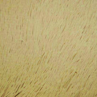SWATCHES Minky Shaggy Fur