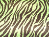 SWATCHES Zebra Charmeuse Satin
