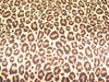 SWATCHES Jaguar Charmeuse Satin