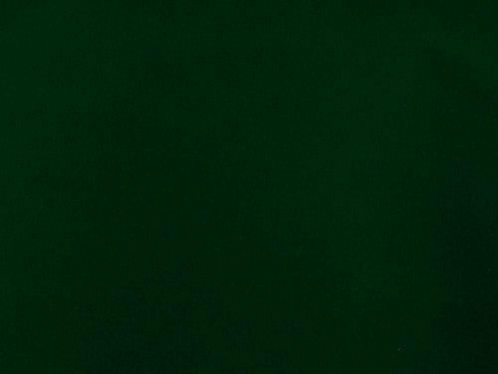 Magician Velveteen Velvet ( flocking velvet) DARK GREEN
