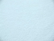SWATCHES Minky Fleece Double Sided