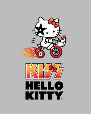 Premium Anti-Pill Hello Kitty Bicycle Kiss Panel Fleece B259