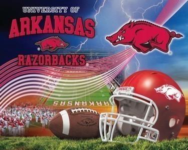 Anti-Pill Arkansas Stadium Football Fleece Panel B639