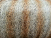 Gold Tan Chinchilla Fur MF-41