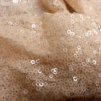 Embroidered Glitz Sequins IVORY