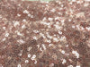 SWATCHES Embroidered Glitz Sequins