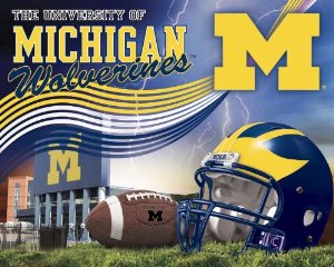 Premium Anti-Pill Michigan Stadium Wave Football Fleece B218