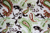 SWATCHES Paisley Minky Cuddle Fur