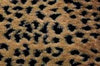 Lynx Tan Black Minky Fur MF-7