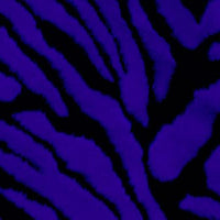 Zebra Long Pile Minky Fur ROYAL