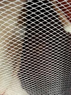Metallic Mesh SILVER