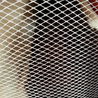 SWATCHES Metallic Mesh