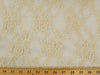 Circle Stretch Lace CHAMPAGNE SL-28